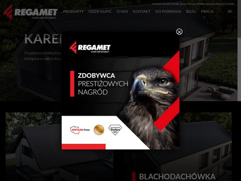 Rgamet.com.pl blachy dachowe i rynny
