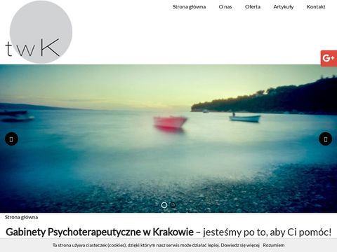 Terapia-w-krakowie.pl
