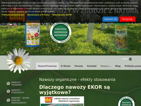 Ekor.com.pl