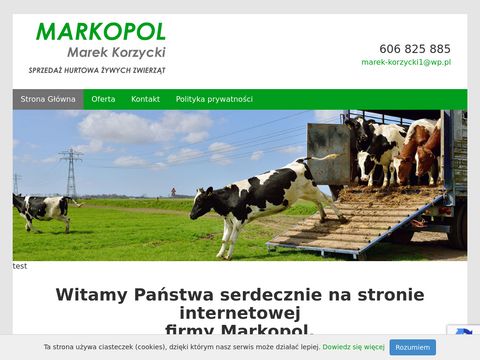 Markopolkorzycki.pl