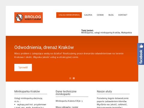 Brolog - usługi minikoparką Kraków
