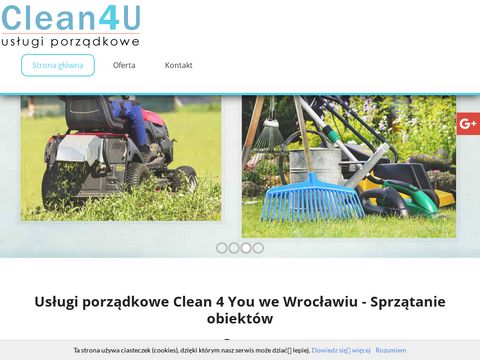 Clean4usc.pl czyszczenie