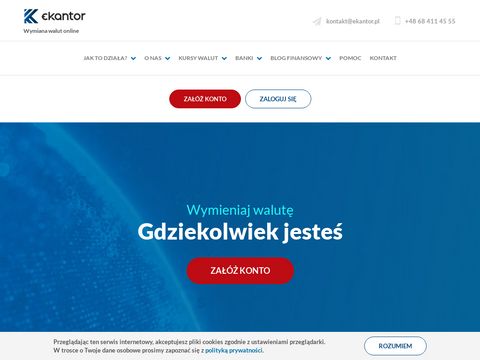 Waluty online - ekantor.pl