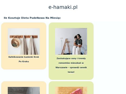 E-hamaki.pl - producent