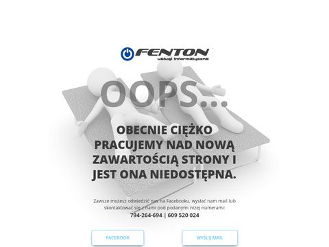 Fenton-wirtualne biuro, obsługa IT