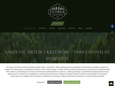 Lesneuslugi.pl - sadzenie drzew