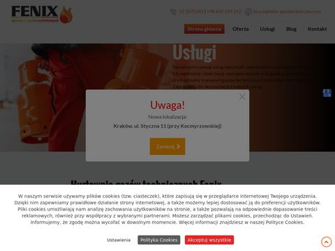 Fenix-gazytechniczne.com