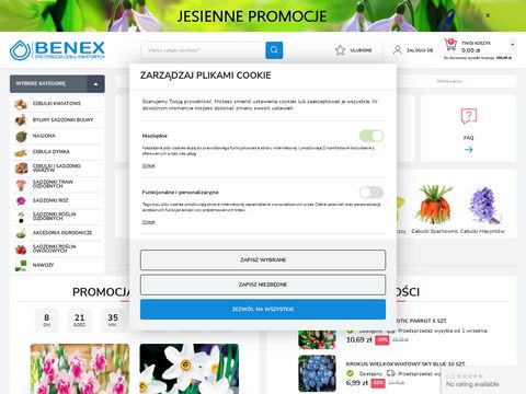 Benex - producent cebul kwiatowych