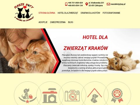 Nasze-koty.com.pl - koci hotel Kraków