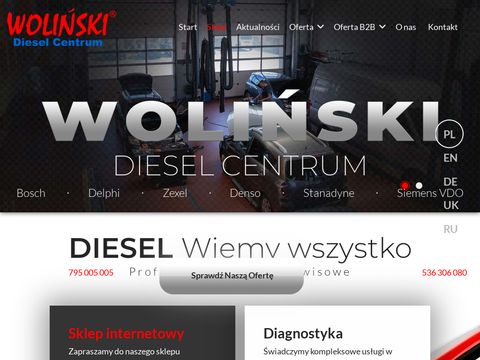 Wolinski.com.pl - regeneracja wtryskiwaczy