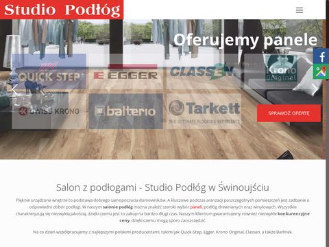 Studiopodlog.net.pl - sztukateria